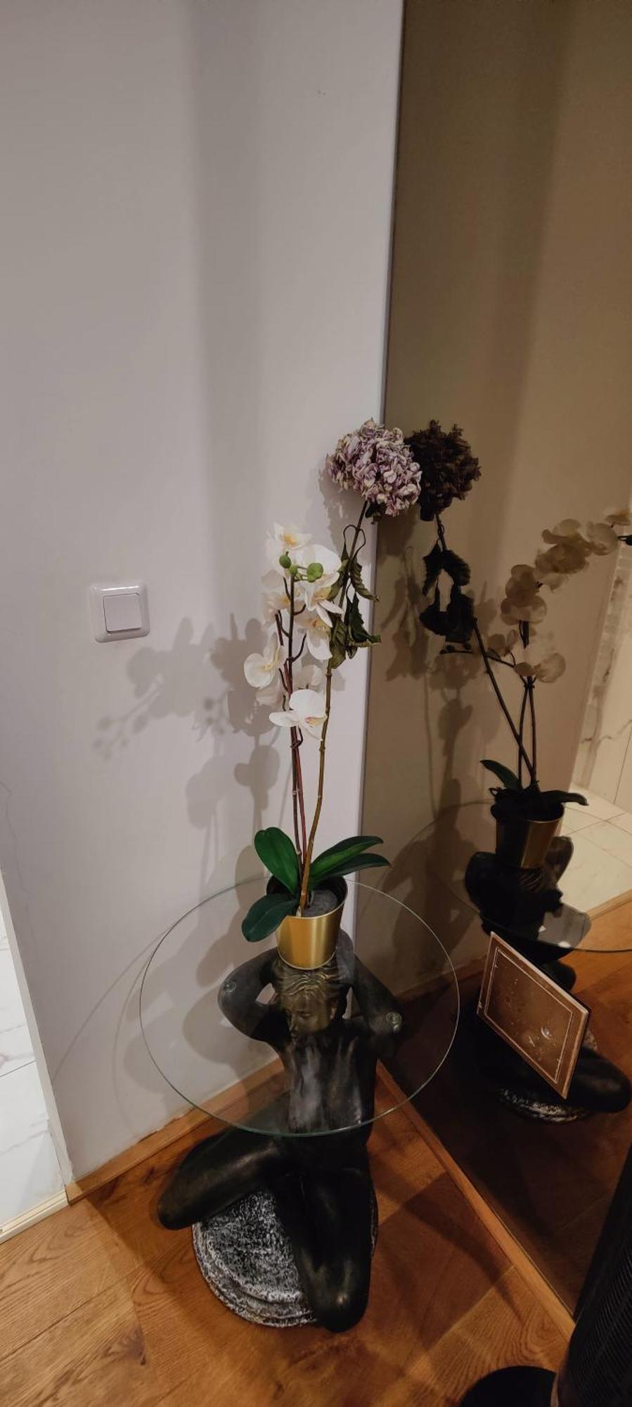 Xuba Apartmentrooms Messe Wien Prater Zewnętrze zdjęcie